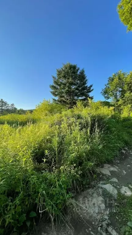 Участок в Приморский край, Надеждинский район, Заря-1 СНТ  (9.97 сот.) - Фото 1