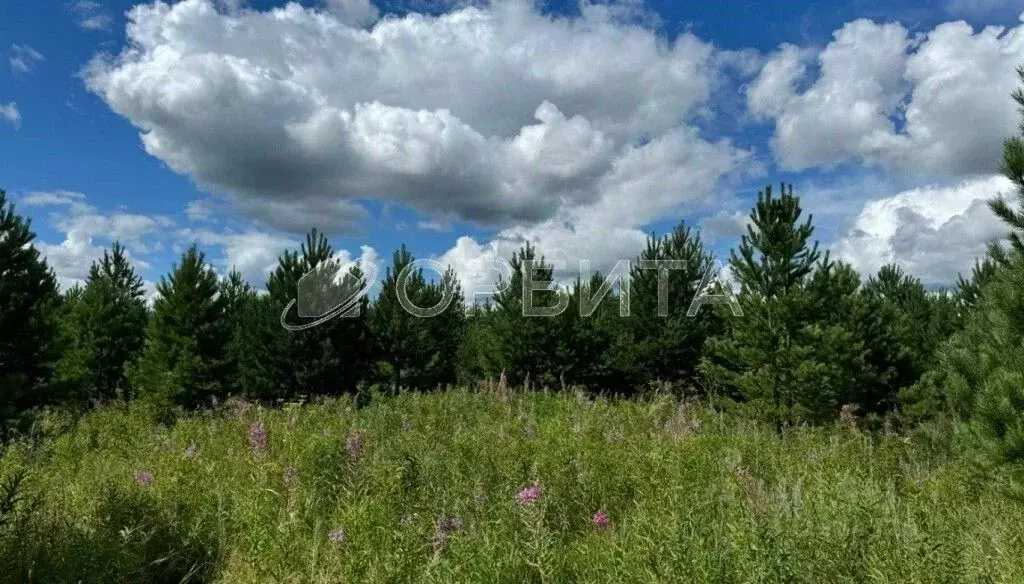 Участок в Свердловская область, Слободо-Туринский район, ... - Фото 0