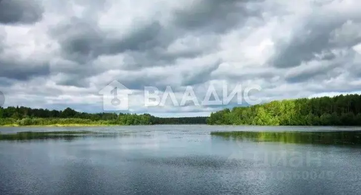 Участок в Владимирская область, Суздальский район, Селецкое ... - Фото 1