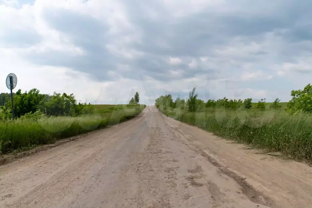 Участок 11 сот. (СНТ, ДНП) - Фото 0