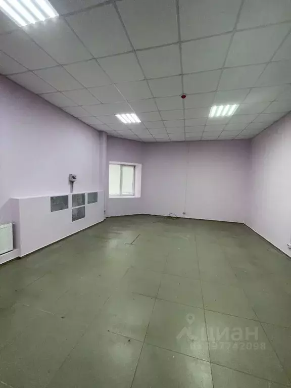 Помещение свободного назначения в Курская область, Железногорск ул. ... - Фото 0