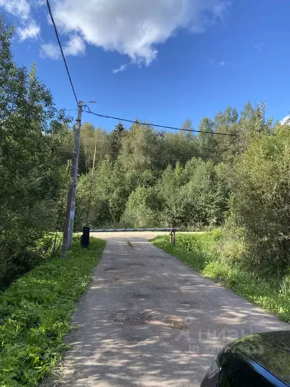 Участок в Ленинградская область, Гатчинский муниципальный округ, ... - Фото 0