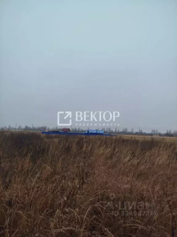 Участок в Костромская область, Кострома ул. Счастливая (11.77 сот.) - Фото 1