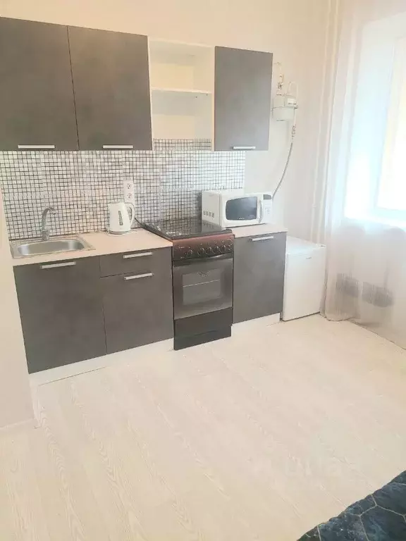 1-к кв. Псковская область, Псковский район, Завеличенская волость, д. ... - Фото 2