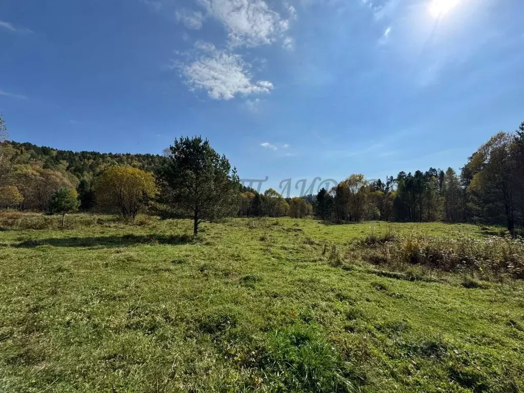 Участок в Алтай, Турочакский район, с. Кебезень  (5.6 га.) - Фото 1