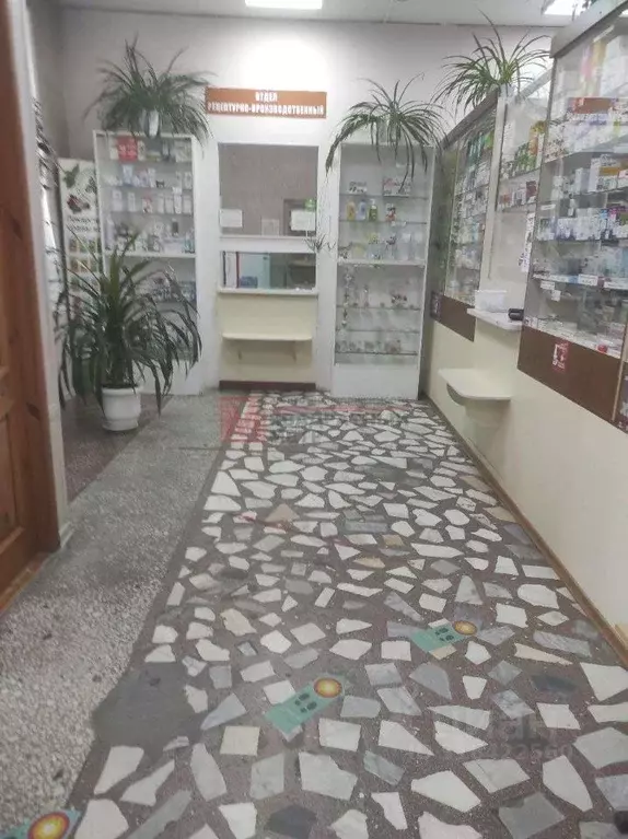 Торговая площадь в Белгородская область, Старый Оскол ул. Ленина, 27 ... - Фото 2