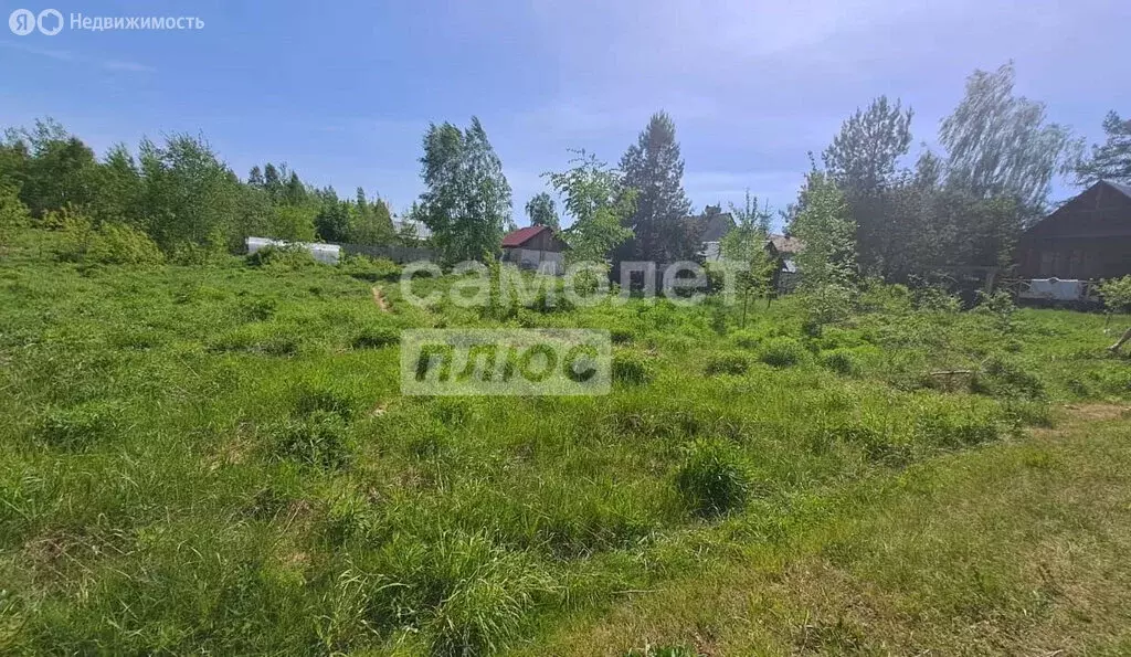 Участок в Нижегородская область, городской округ Бор, деревня ... - Фото 1