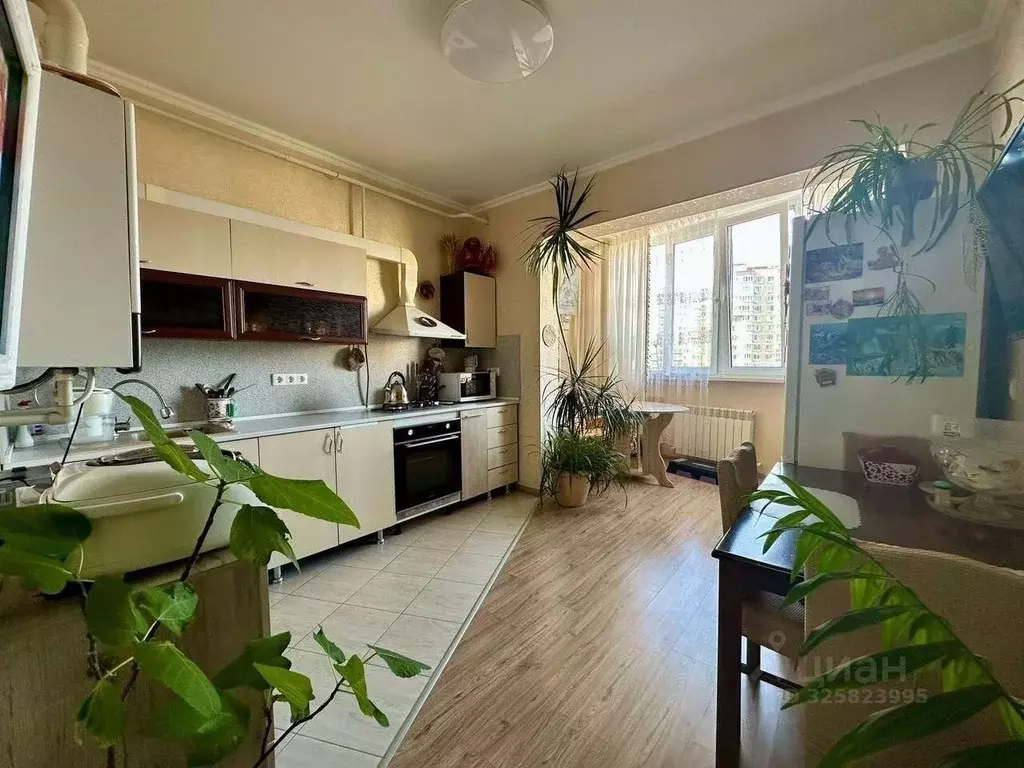 1-к кв. Краснодарский край, Анапа Алексеевка мкр, ул. Лазурная, 16 ... - Фото 1