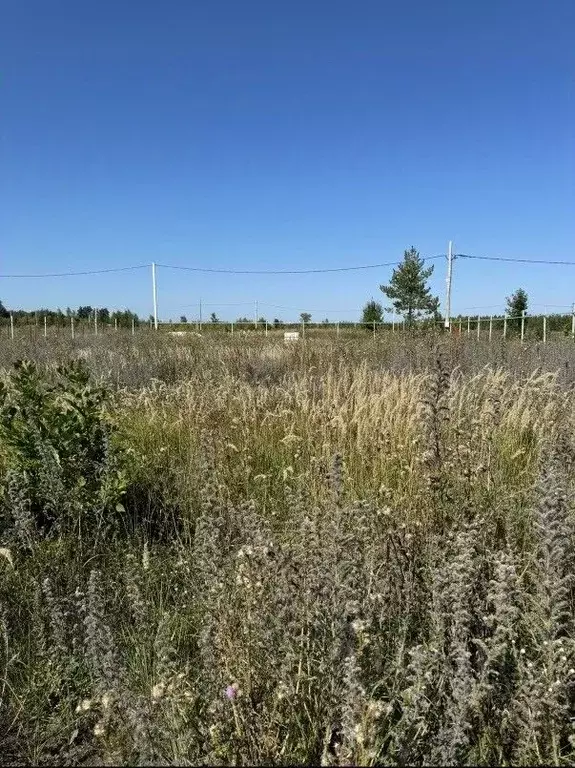Участок в Самарская область, Красноярский район, Новый Буян с/пос, с. ... - Фото 2