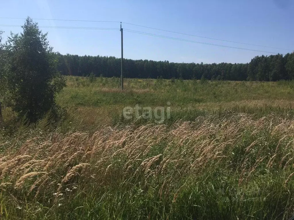 Участок в Калужская область, Юхновский муниципальный округ, Щелканово ... - Фото 1