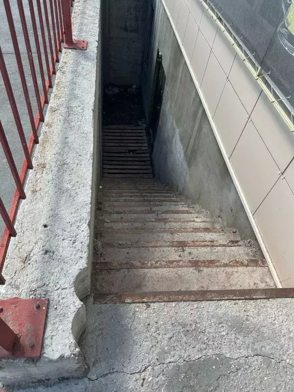 Помещение свободного назначения в Новосибирская область, Новосибирск ... - Фото 1