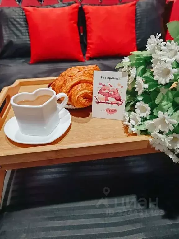 Студия Краснодарский край, Краснодар ул. Красных Партизан, 1/3к7 (24.0 ... - Фото 1