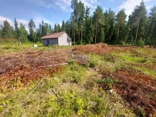 Участок в Коми, Корткеросский район, Додзь муниципальное образование, ... - Фото 1