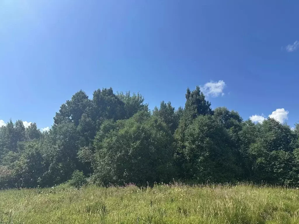 Участок в Московская область, Рузский муниципальный округ, д. ... - Фото 2