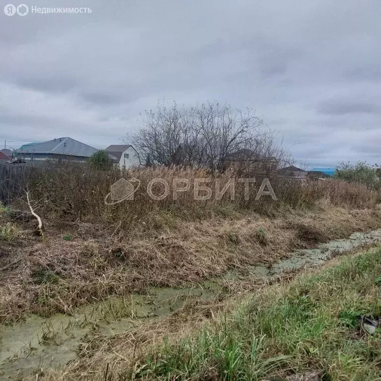 Участок в СНТ Березняки (5 м) - Фото 1
