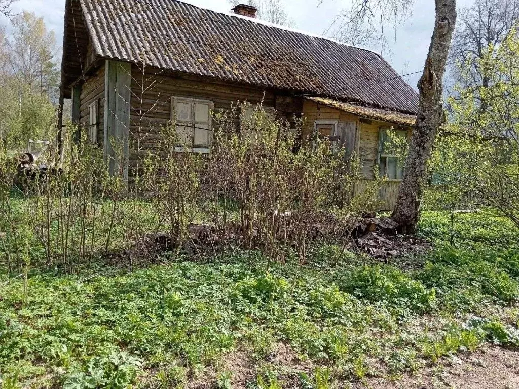 Дом в Псковская область, Плюсский муниципальный округ, д. Заруденье ... - Фото 0
