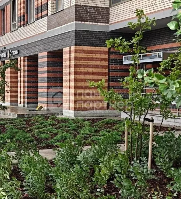 Студия Санкт-Петербург Коломяжский просп., 13к2 (23.0 м) - Фото 1