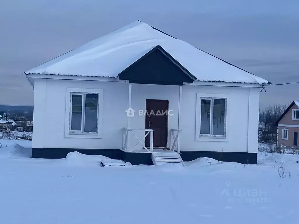 Дом в Пензенская область, с. Бессоновка ул. Березовая, 2 (96 м) - Фото 0