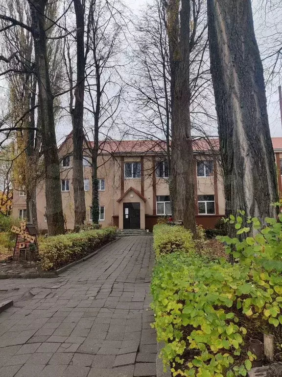 Сдам помещение свободного назначения, 52.8 м - Фото 1