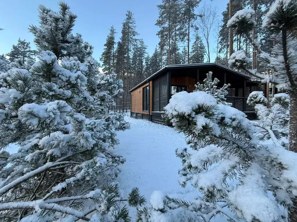 Дом в Ленинградская область, Выборгский район, Полянское с/пос, пос. ... - Фото 1