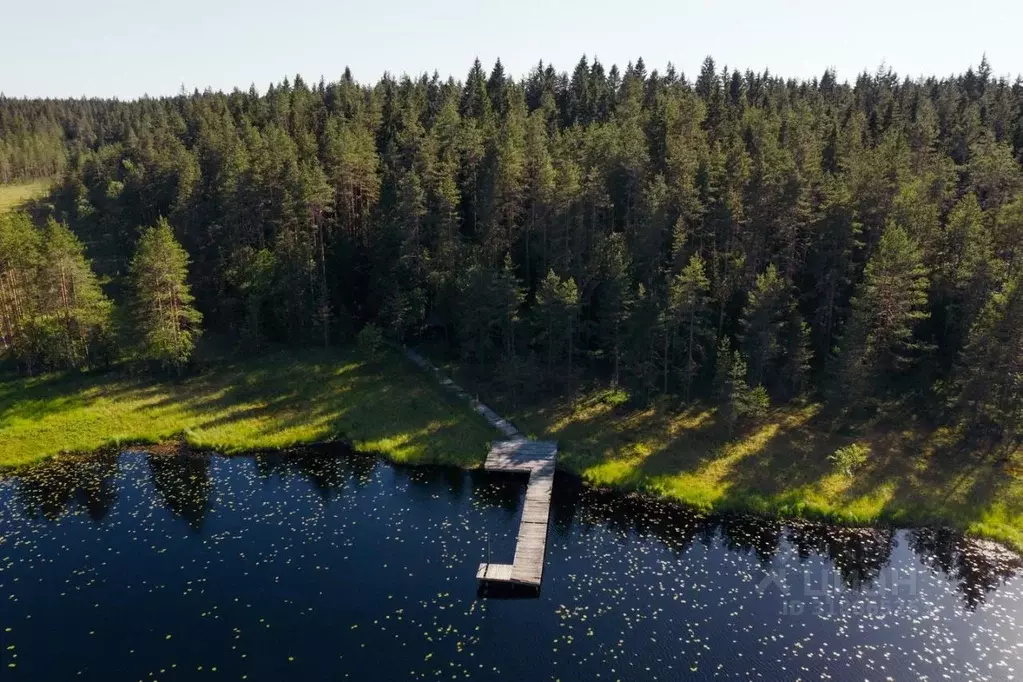 Участок в Ленинградская область, Выборгский район, Первомайское с/пос, ... - Фото 1