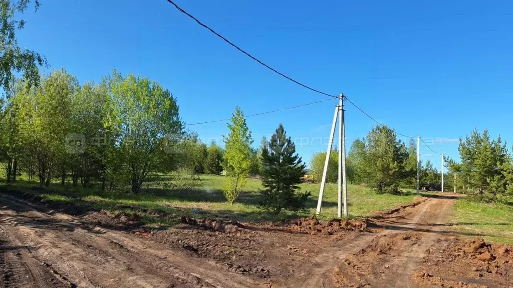 Участок в Татарстан, с. Пестрецы ул. Салихзяна Калимуллина, 8 (10.0 ... - Фото 2