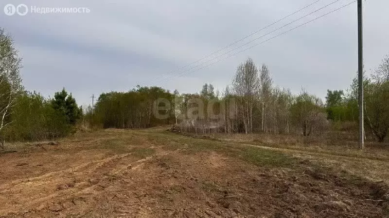 Участок в Амурская область, Благовещенский муниципальный округ, село ... - Фото 2