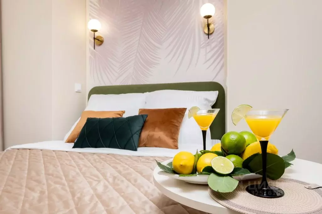 Студия Санкт-Петербург пер. Пирогова, 17 (11.0 м) - Фото 1