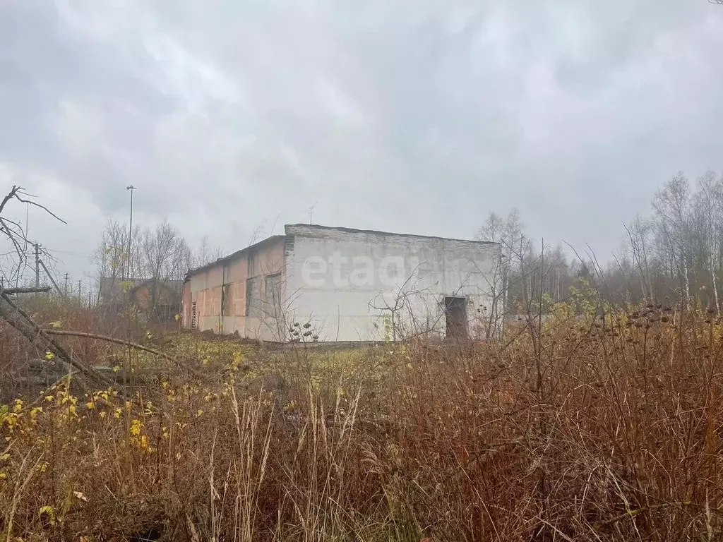 Помещение свободного назначения в Московская область, Орехово-Зуевский ... - Фото 0