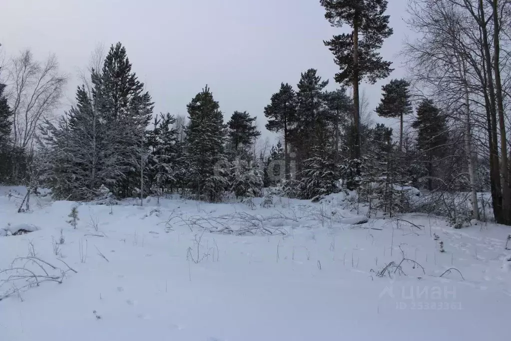 Участок в Ханты-Мансийский АО, Когалым ул. Автомобилистов (9.1 сот.) - Фото 1