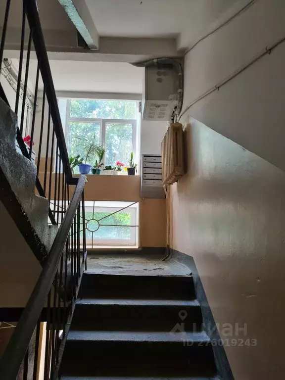 2-к кв. Костромская область, Кострома ул. Димитрова, 2 (42.7 м) - Фото 2