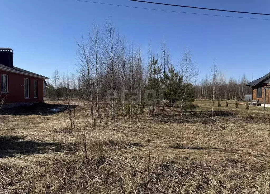 Участок в Костромская область, Кострома ул. Ясная (8.0 сот.) - Фото 1