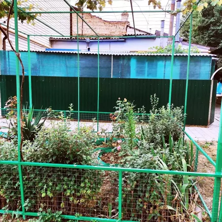 Дом в Краснодарский край, Анапа Черноморская ул., 44 (35 м) - Фото 1