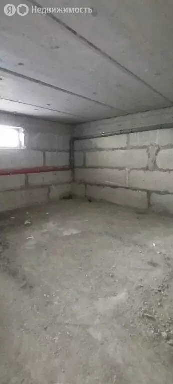 Помещение свободного назначения (28.8 м) - Фото 1