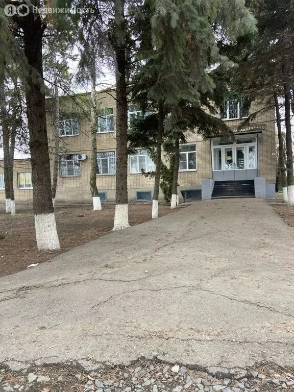 Помещение свободного назначения (607 м) - Фото 1