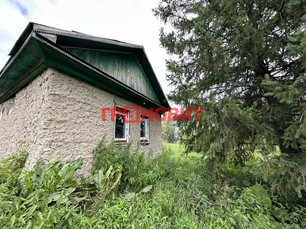 Дом в Новосибирская область, Ордынский район, с. Кирза Боровая ул., 13 ... - Фото 1