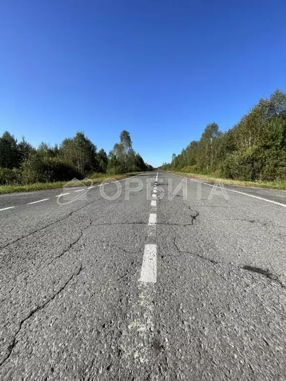 Участок в Тюменская область, Нижнетавдинский муниципальный округ, д. ... - Фото 1