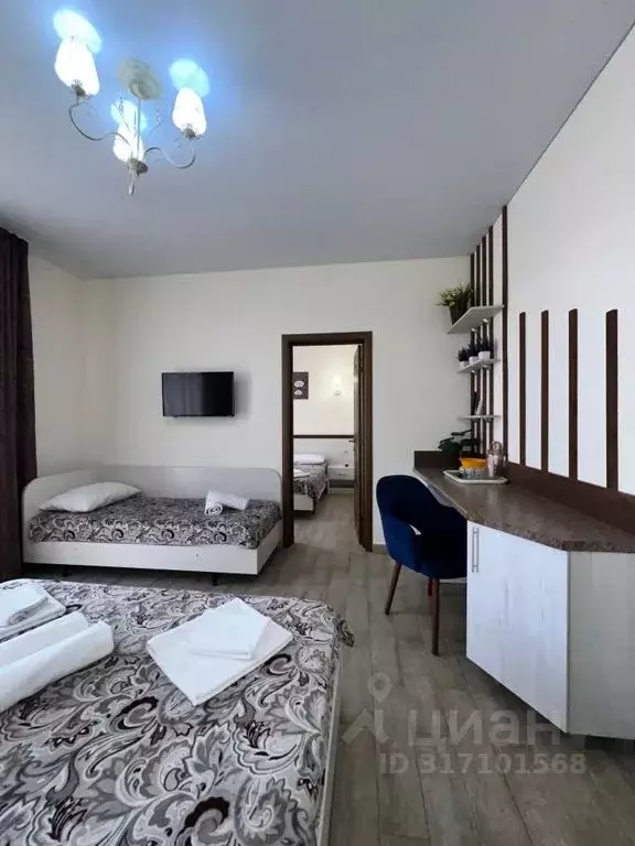 Комната Краснодарский край, Анапа Пионерский просп., 257Ж - Фото 1