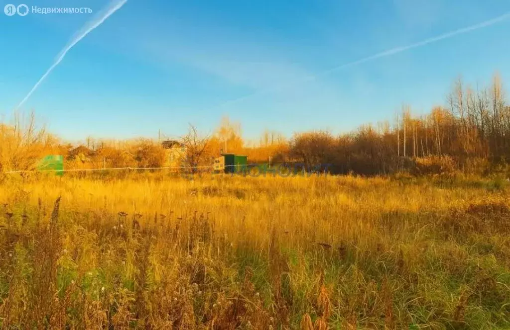 Участок в Медведевский район, Знаменское сельское поселение, СНТ ... - Фото 2