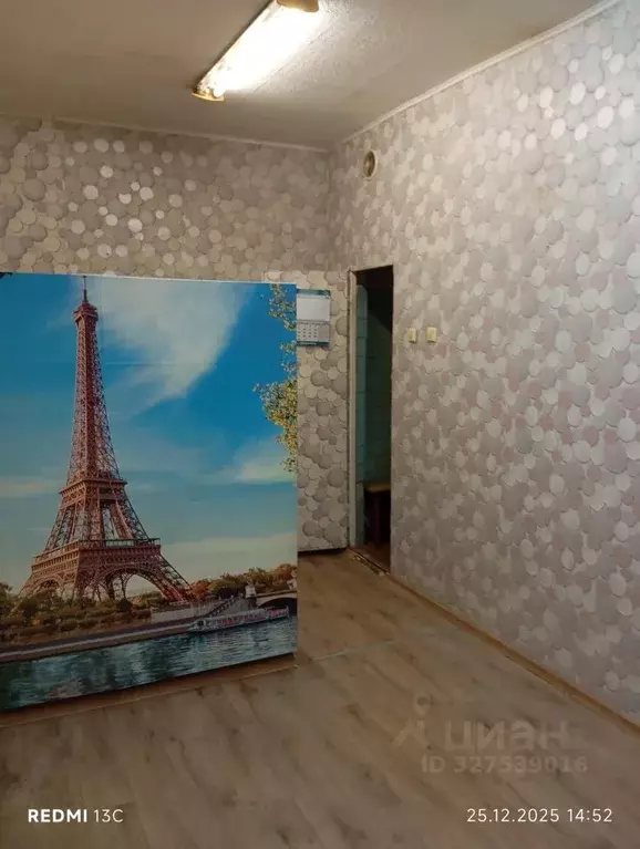 Помещение свободного назначения в Новосибирская область, Новосибирск ... - Фото 1