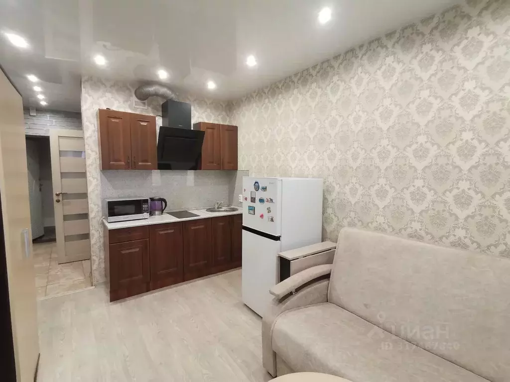 1-к кв. Новосибирская область, Новосибирск ул. Фадеева, 66/2 (19.0 м) - Фото 1