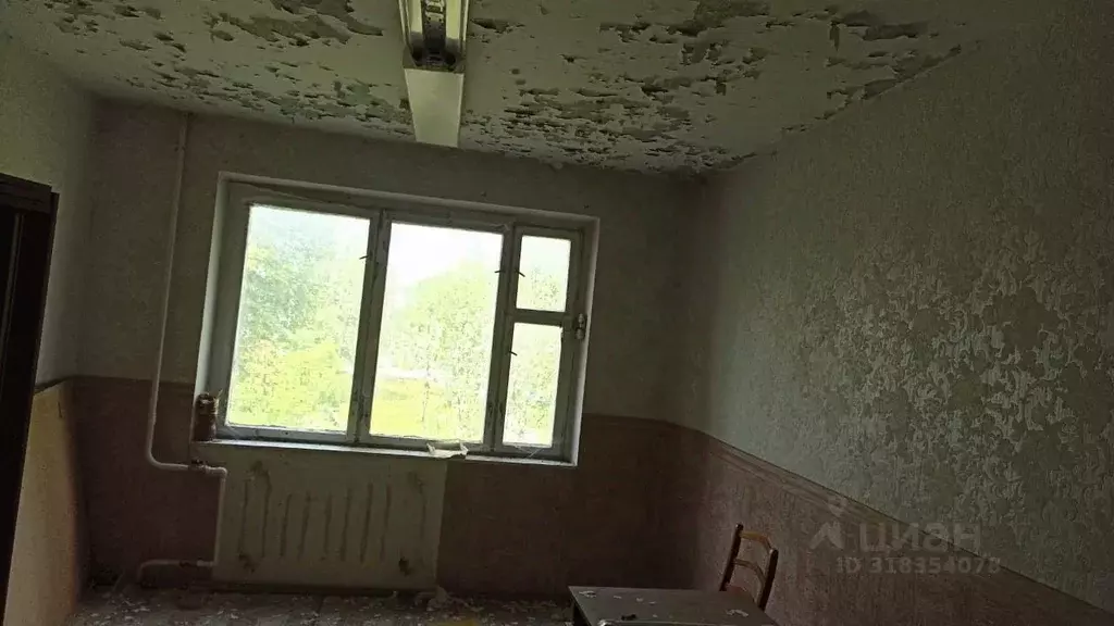 Помещение свободного назначения в Тульская область, Арсеньево рп ул. ... - Фото 1