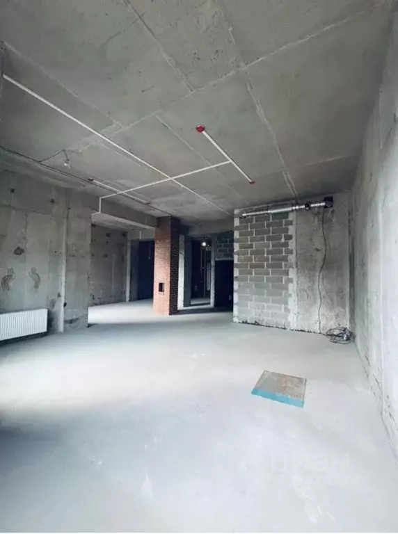 Помещение свободного назначения в Санкт-Петербург Коломяжский просп., ... - Фото 2