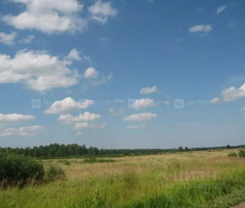 Участок в Татарстан, Зеленодольский район, Большеширданское с/пос, д. ... - Фото 2