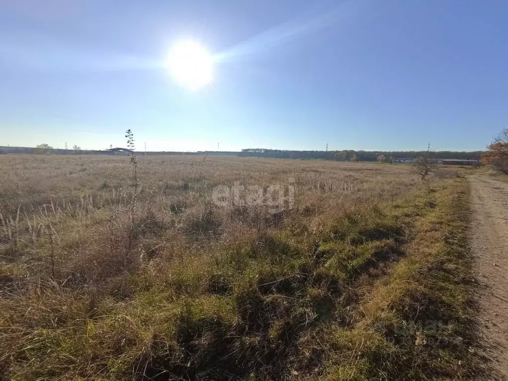 Участок в Адыгея, Майкоп городской округ, Веселый хут. ул. Лесная ... - Фото 0