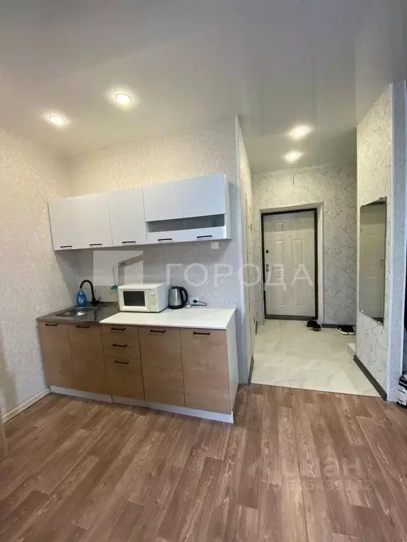 Студия Новосибирская область, Новосибирский район, Мичуринский ... - Фото 1