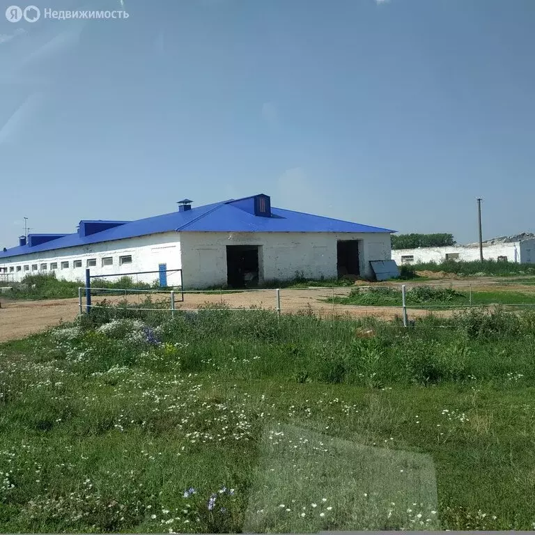 Участок в Кармаскалинский район, село Шаймуратово (10 м) - Фото 1