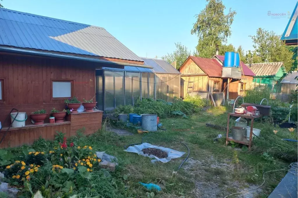Дом в Свердловская область, Екатеринбург Строитель-21 СНТ,  (55 м) - Фото 1