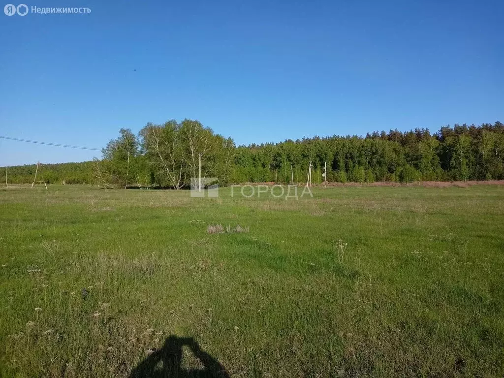 Участок в Калманский район, село Зимари (9.32 м) - Фото 1