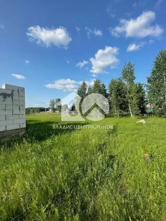 Участок в Новосибирская область, Ордынское рп ул. Широкая, 9/4 (10.0 ... - Фото 0